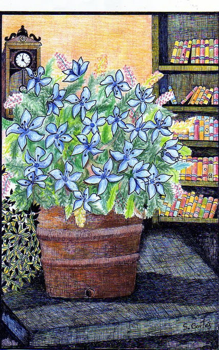 Flores 13