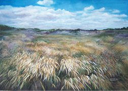 El viento