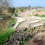 Naturaleza urbana thumbnail 1
