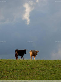 La última foto del dia