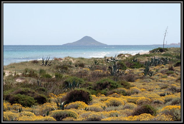 Florecer junto al mar Nature Color (Digital)