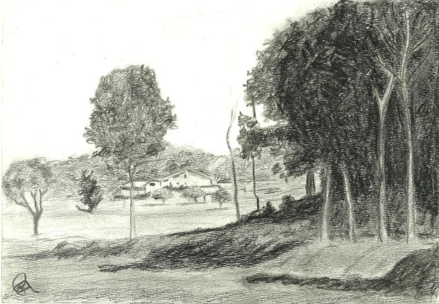 paisaje Graphite