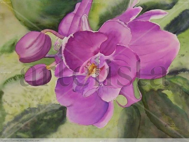 Orquidea Japonesa Watercolour Paper Floral Painting