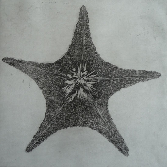 Estrela do Mar Etching Process