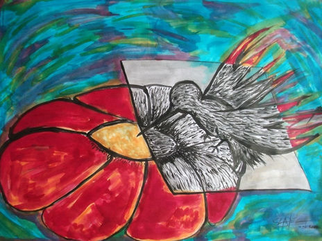 Colibri