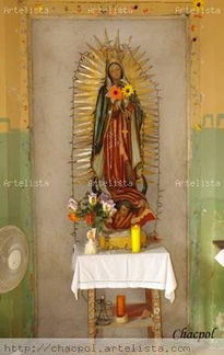 Guadalupe 202