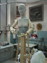 virgen
