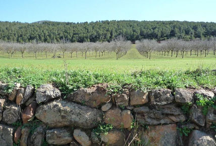Bancal