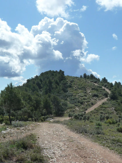 Camino al cielo