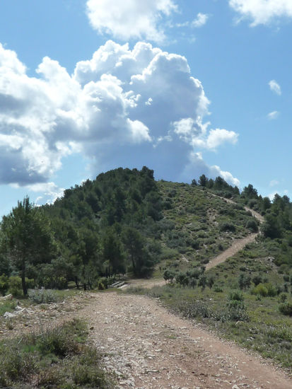 CAMINO AL CIELO 