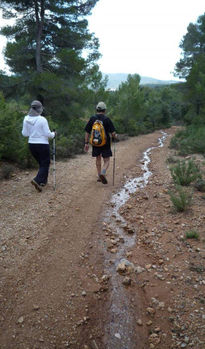 Sendero de agua