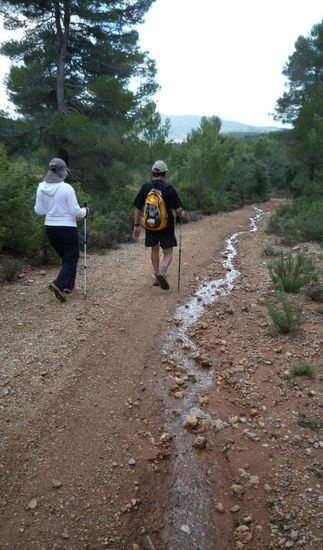 SENDERO DE AGUA 