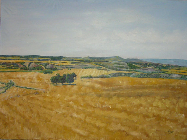 Campos segados De la Bureba-La loma