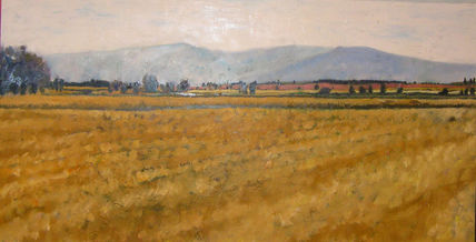 Campos de la loma
