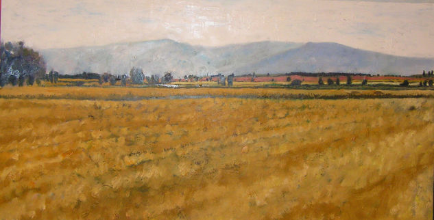 Campos de la loma Oil Canvas Landscaping