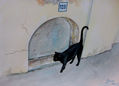 GATO NEGRO