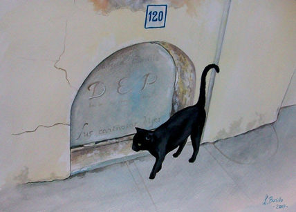 Gato negro