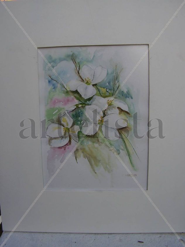 flores  blancas 1