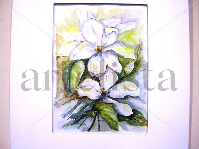 flores blancas III Watercolour Paper Floral Painting