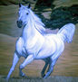 Galope