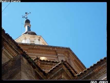 Norte o Sur
