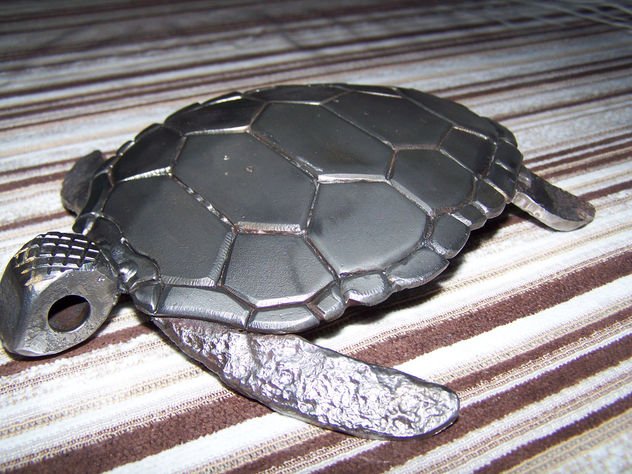 tortuga