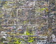 Muro