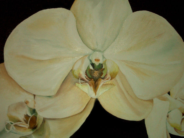 Orquidea