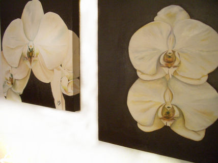 Orquideas