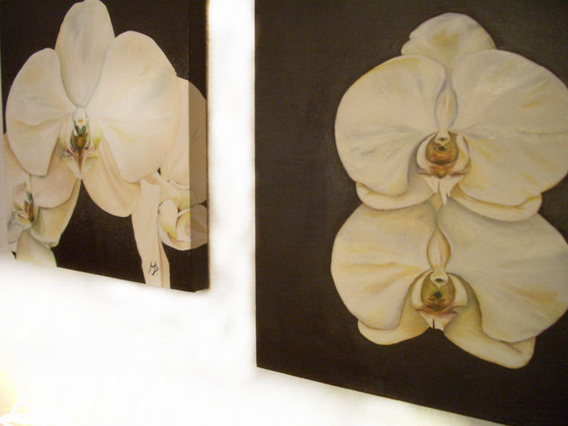 Orquideas