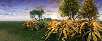 Caribe 00025