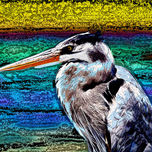 Ecuador thumbnail 1