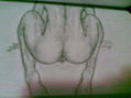 backside..