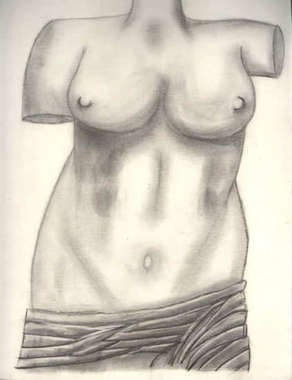 Venus Graphite