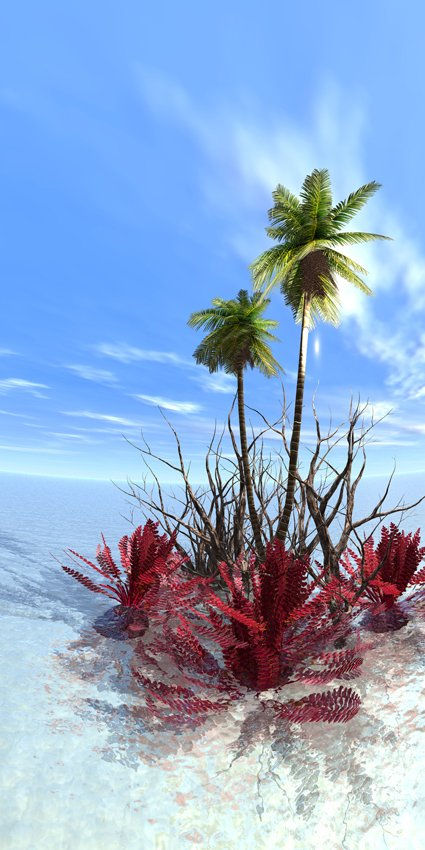 Caribe 00036