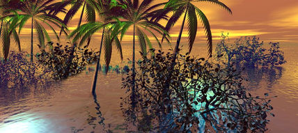 Caribe 00043