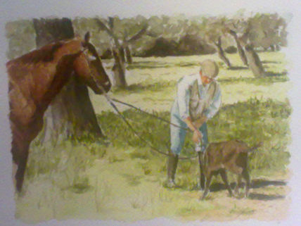 Escena de campo