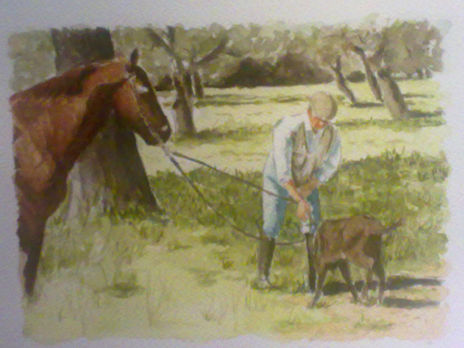 Escena de campo