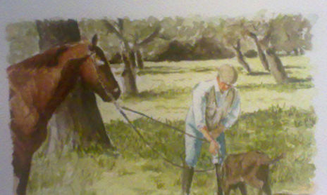 temas taurinos