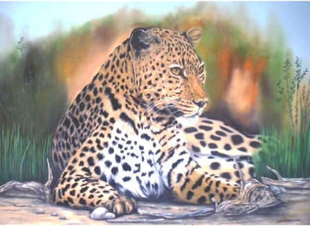 Leopardo Oil