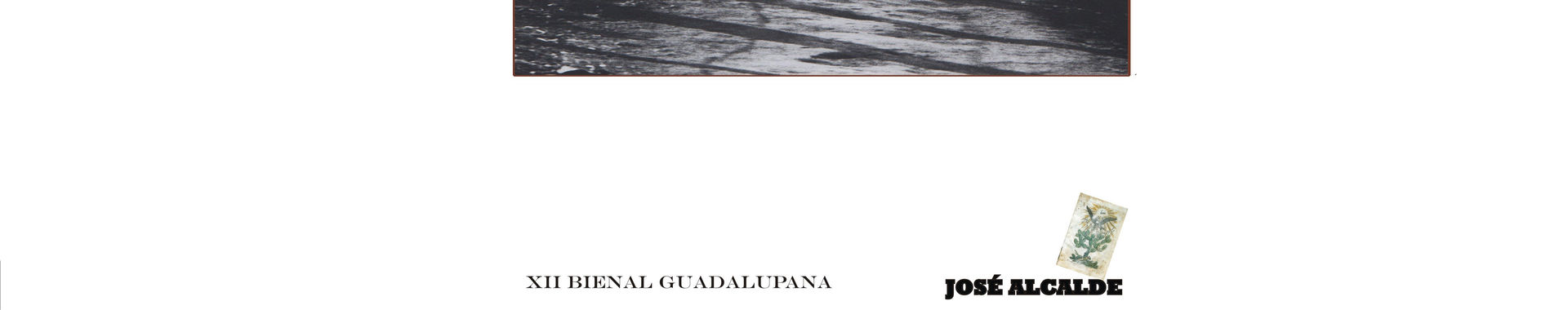 Imagen de portada