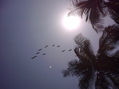 playa