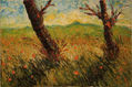 CAMPO2