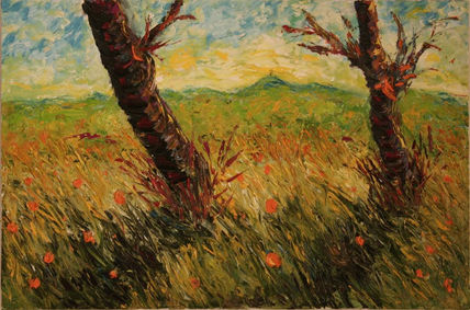 Campo2