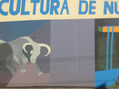 mural