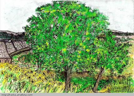 Arbol huerta