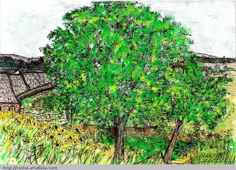 Arbol huerta