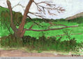 PAISAJE BERCIANO “CAMINO SALENTINOS”
