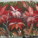 coleccion 2010 thumbnail 1