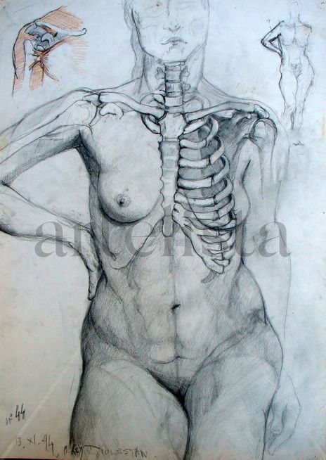 Cuaderno de Anatomia 2